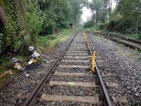 Stopfen der Gleiswaage 02